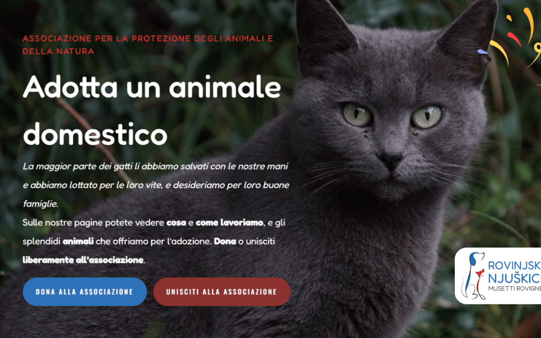 Italian version of our website – Association Rovinjske Njuškice is now closer to our Italian friends! 🇮🇹✨